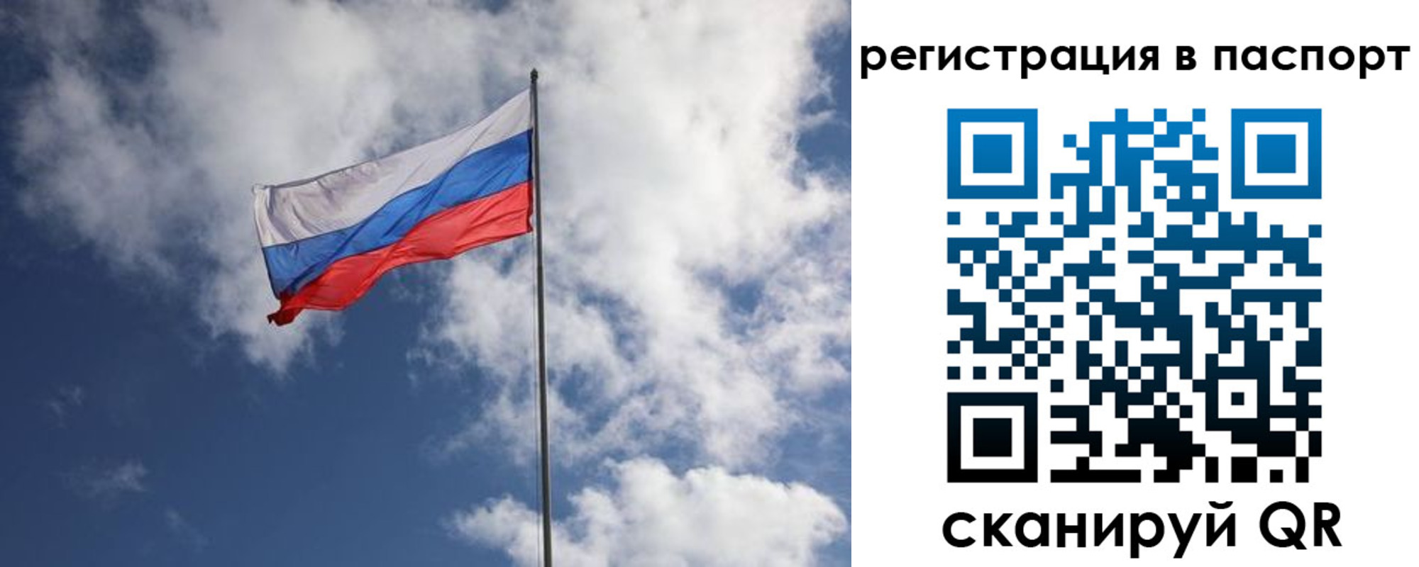 временная прописка в Ногинске