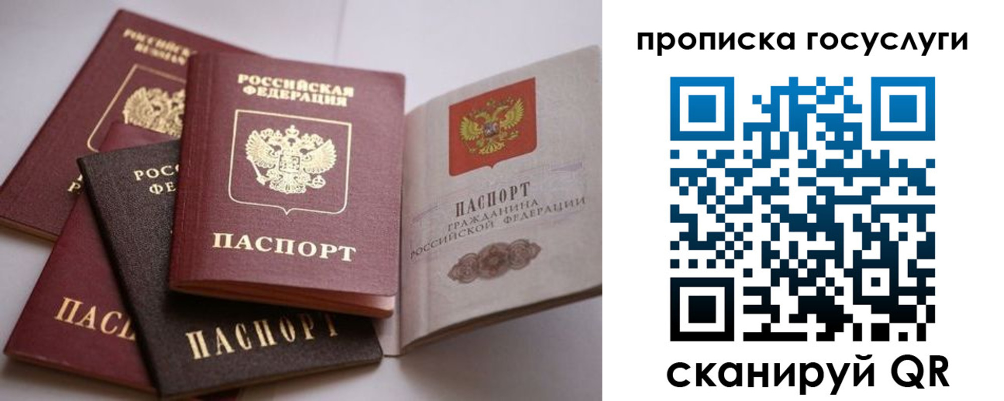 купить прописку в Ногинске